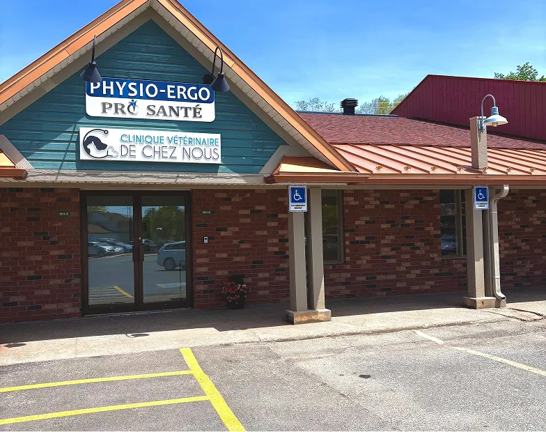 Clinique vétérinaires à Saint-Lazare