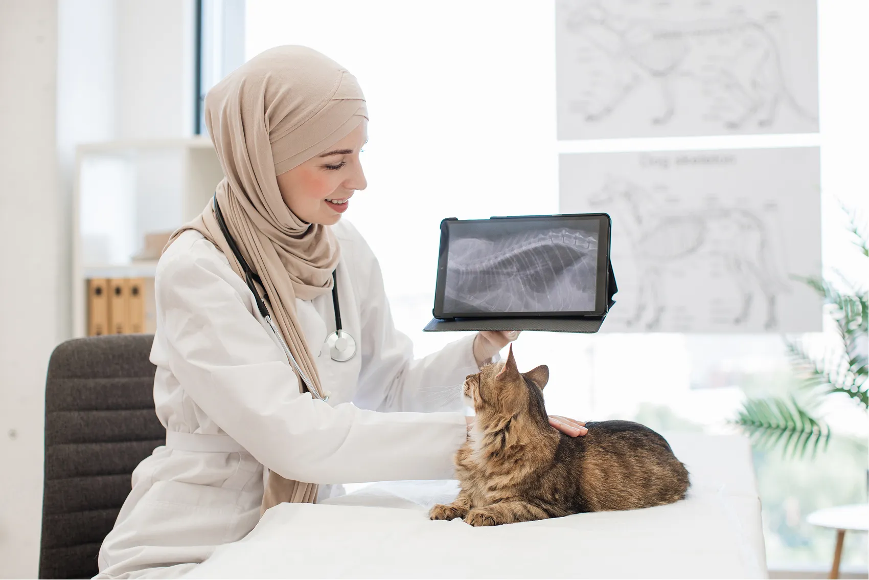 Consultation et <b>service diagnostic</b>